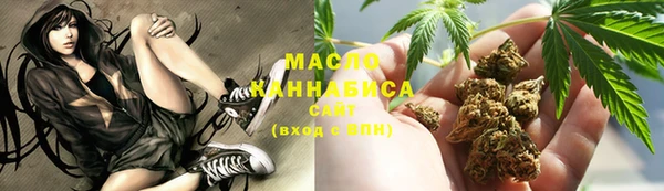 индика Бронницы