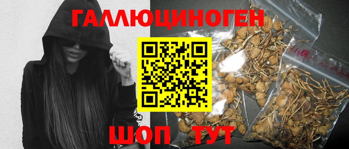 Псилоцибиновые грибы Magic Shrooms Кондопога