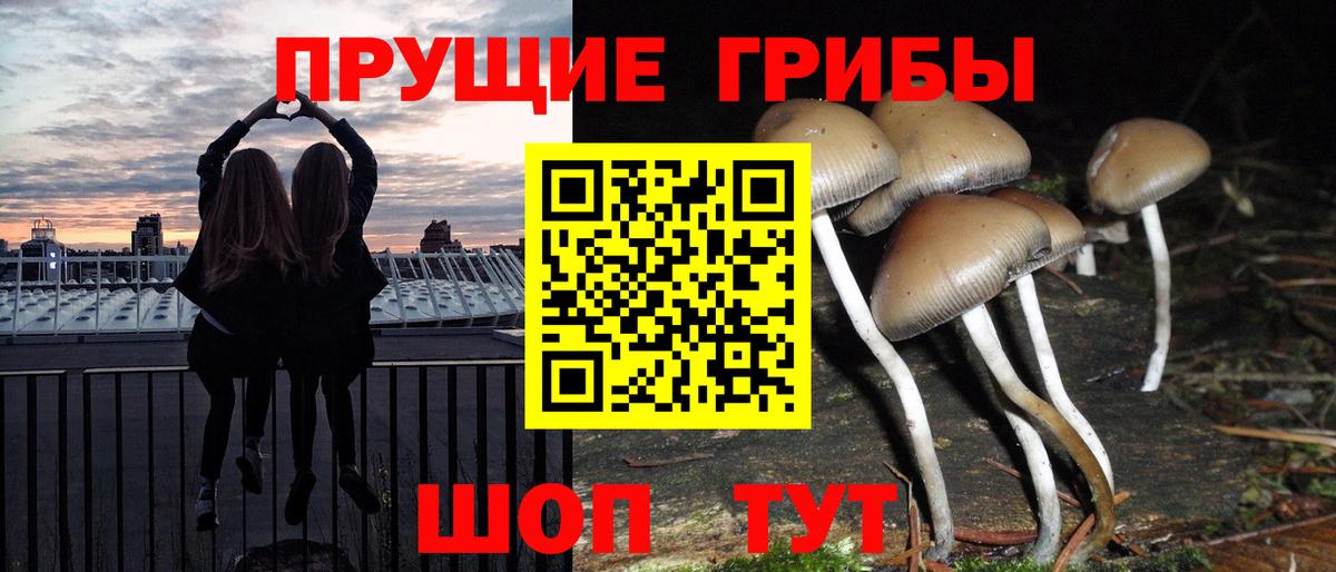 Псилоцибиновые грибы ЛСД  Псилоцибиновые грибы ЛСД  Кондопога  Вход с VPN 